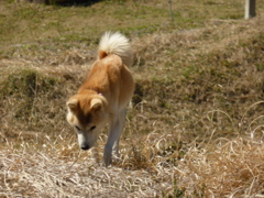 P1000907