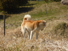P1000906