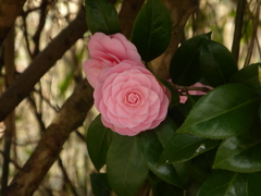 P1000927