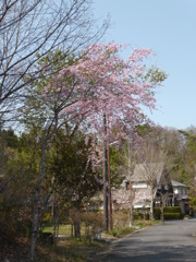 P1000867