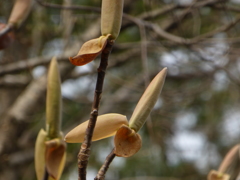 P1000932