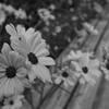 10月