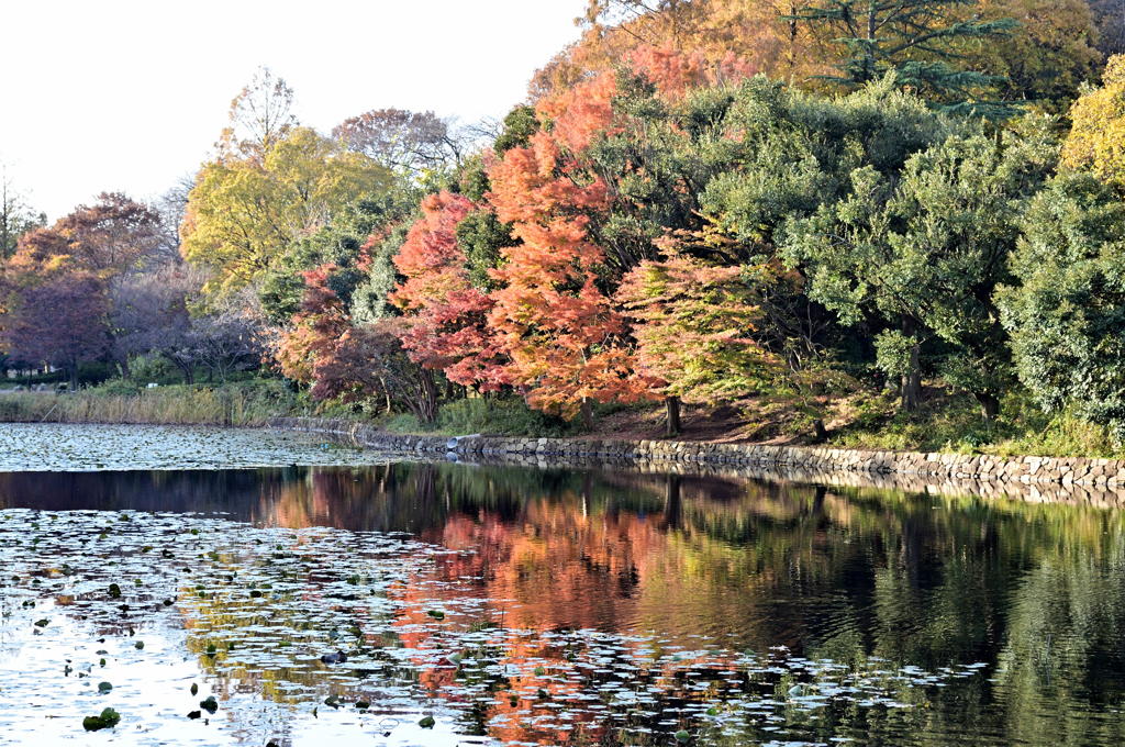 D5K_7533Raw