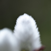D6H_7194R