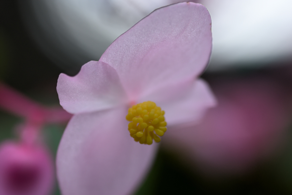 72H_9265R