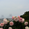 海を見渡す