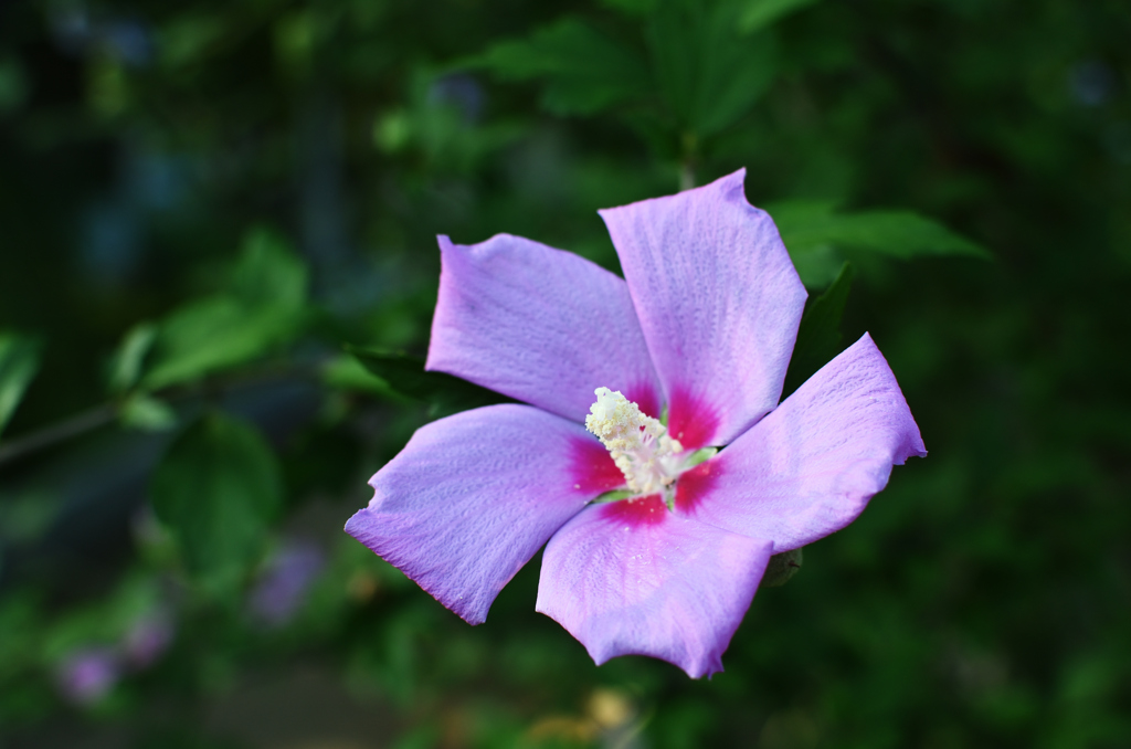 D7K_0149R