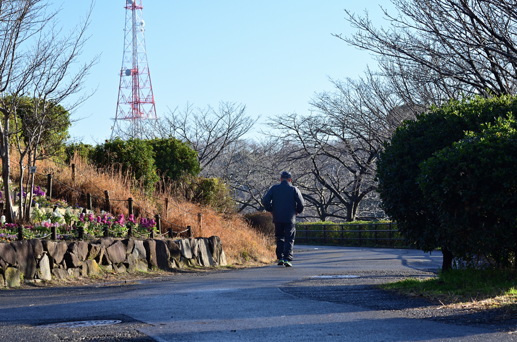 冬の散歩道