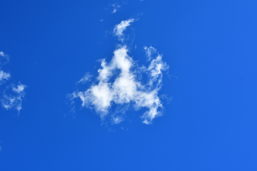 冬の空