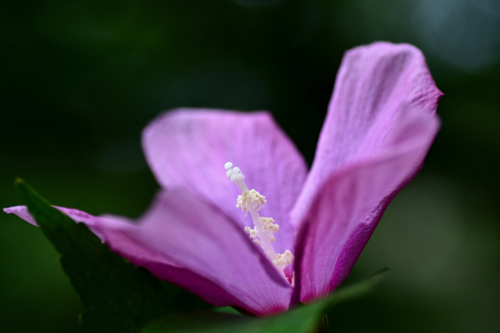 72H_9267R