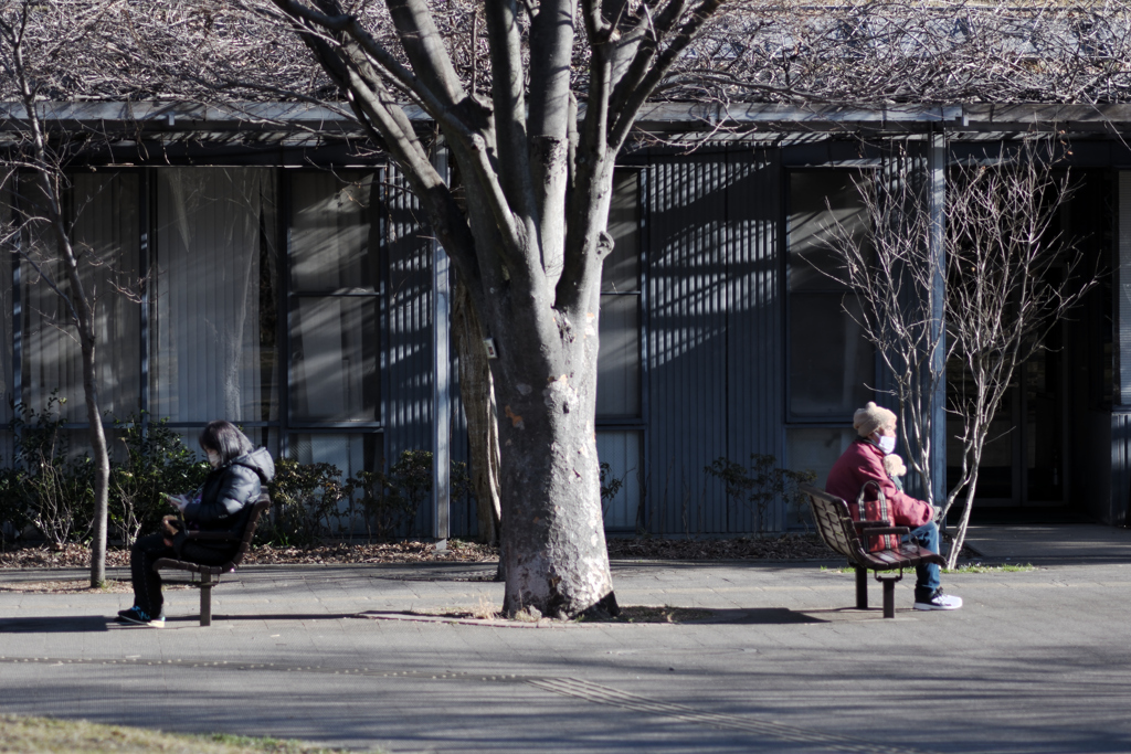 それぞれの人生・それぞれの公園