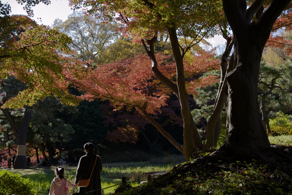 母娘の紅葉狩り