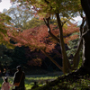 母娘の紅葉狩り