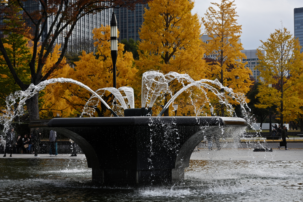 都心のオアシス