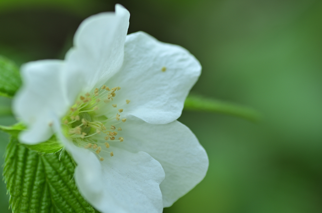 D7K_5910R
