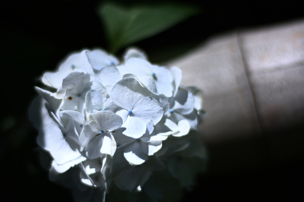 72H_8596R