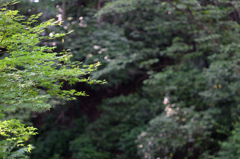 D7K_5901R