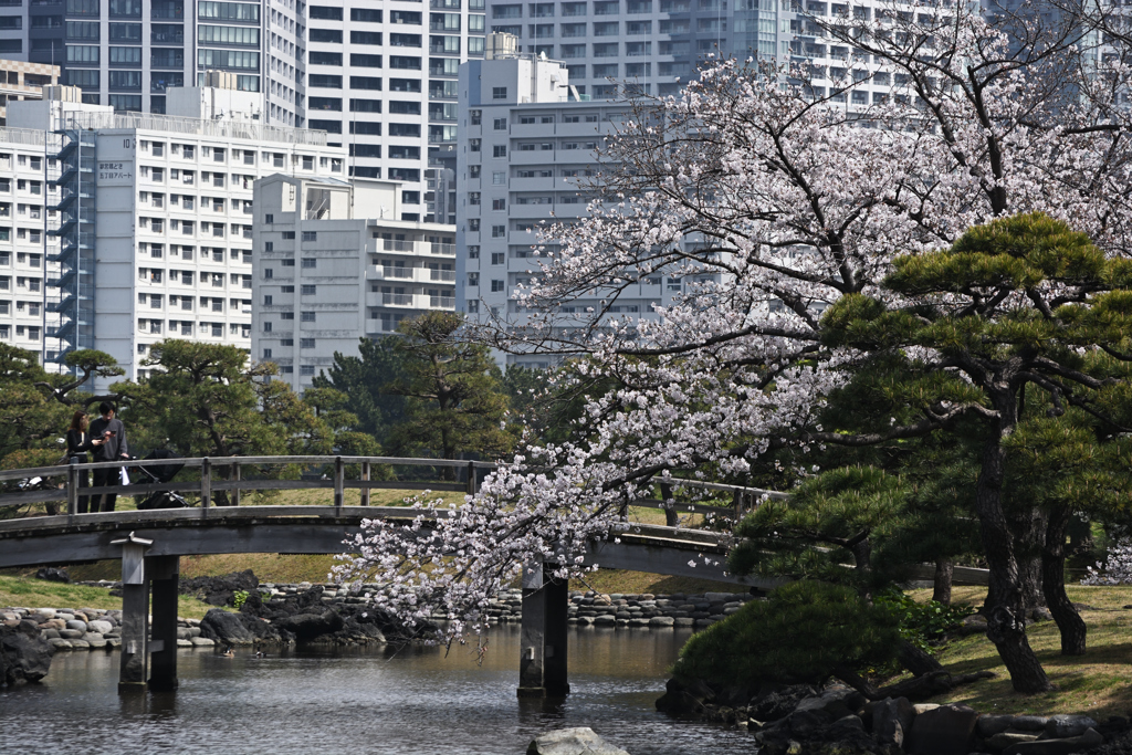 Tokyo Japan