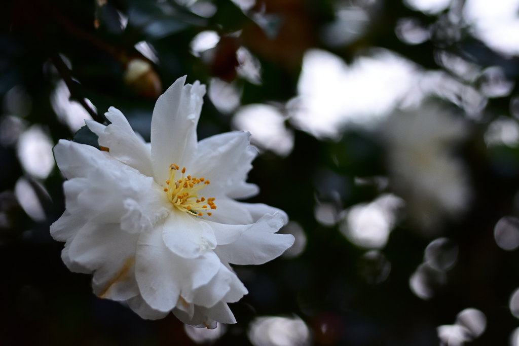 72H_9638R