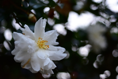 72H_9638R