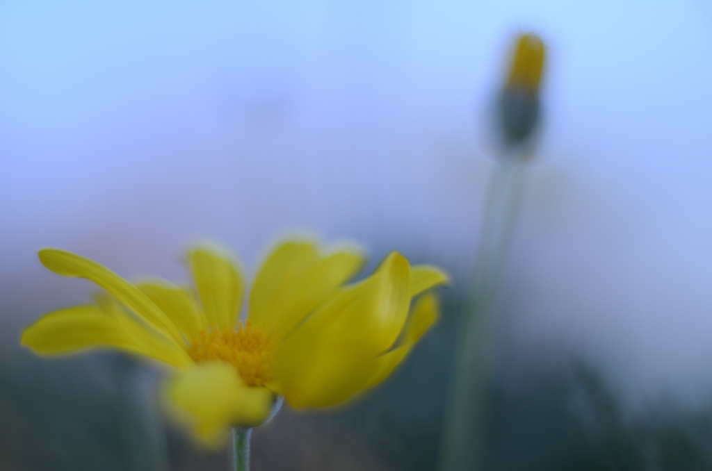 D7K_2811R(f14)