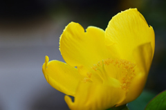 D7K_0263R