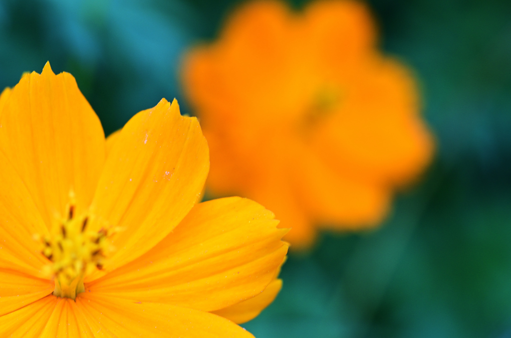 D7K_0253R