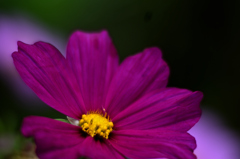 D7K_6735R