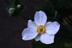 72H_9143R