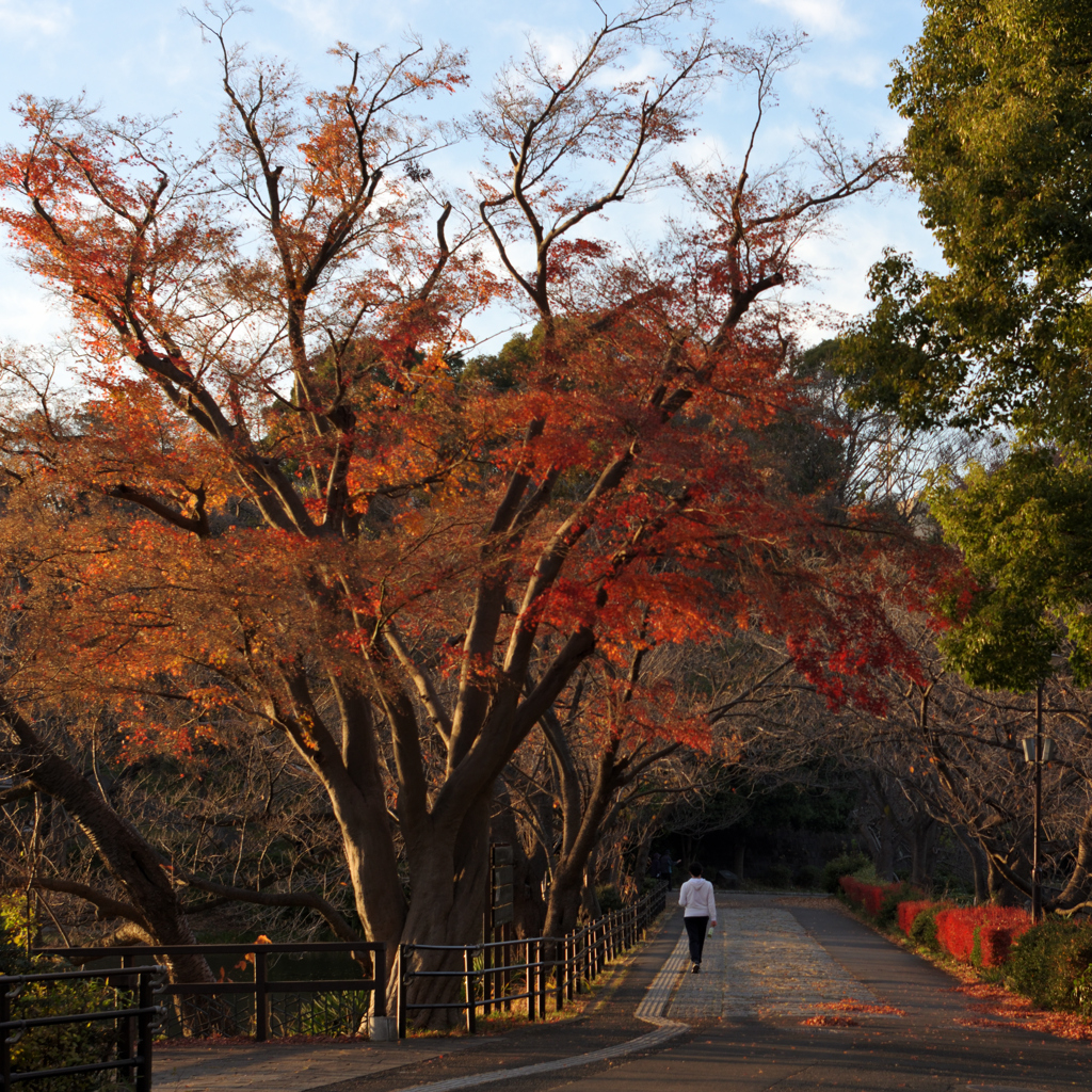 さあ帰ろう 冬の日暮れは早いから