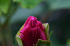 72H_9102R