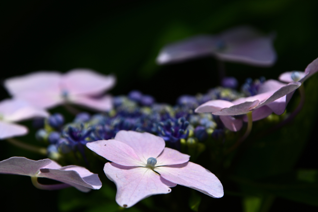 72H_1540R