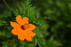 D7K_0158R