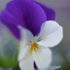 D7K_2812R(f14)