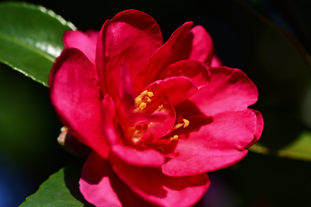 72H_9539R