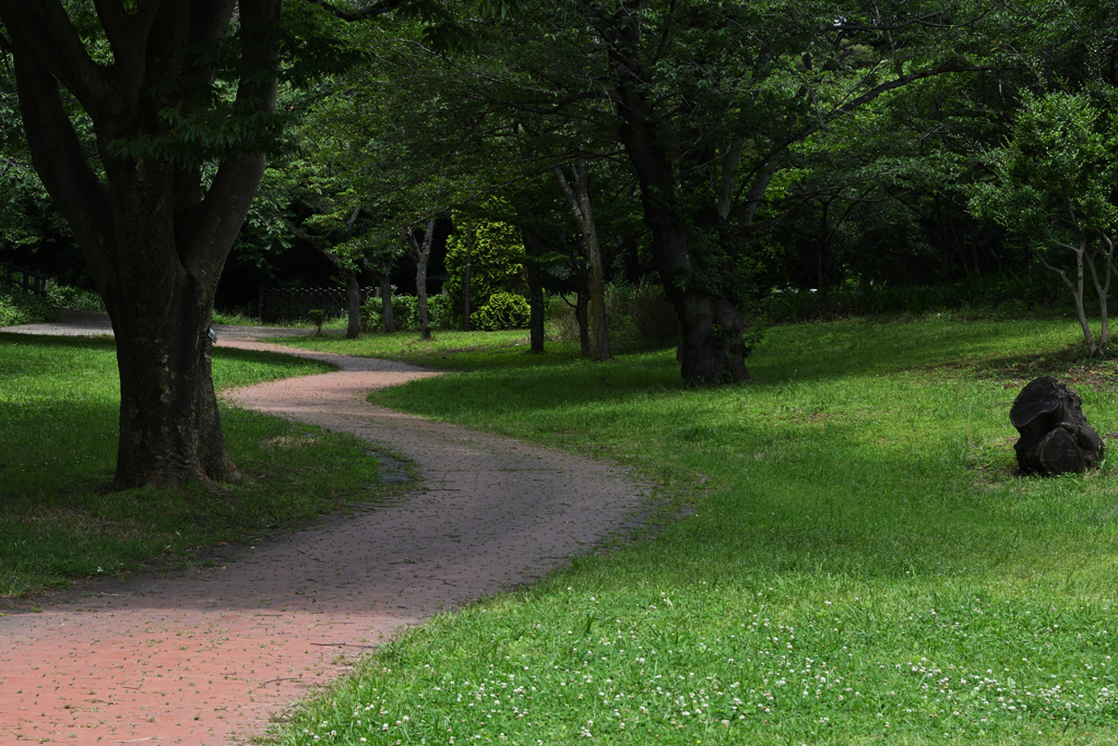 散歩道