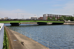 鶴見川散策２
