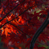 紅炎