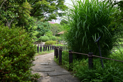6月のとある日