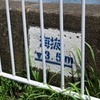 芦穂橋付近の海抜