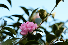 D7K_2935R