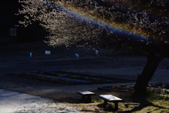 レインボーフレア