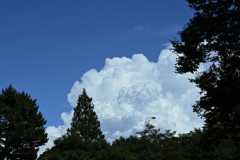 夏空