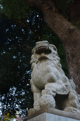 熊野神社 ② 狛犬(その１)