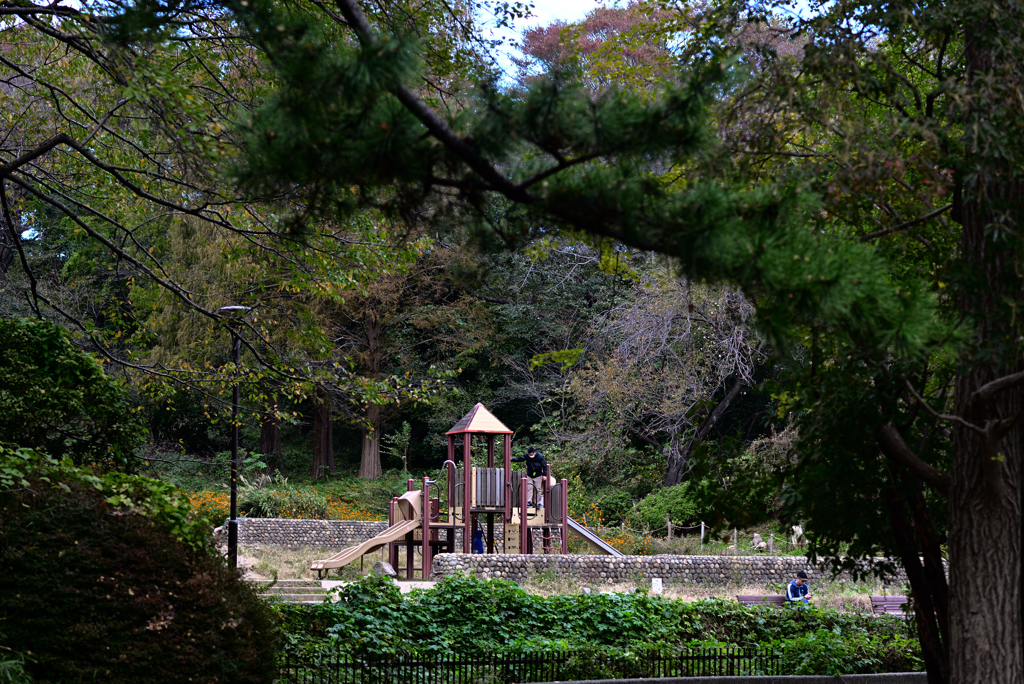 D6H_5717_Raw