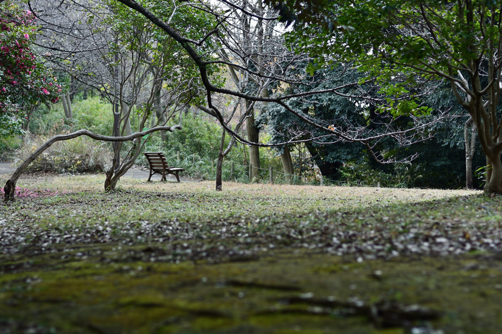 公園にて