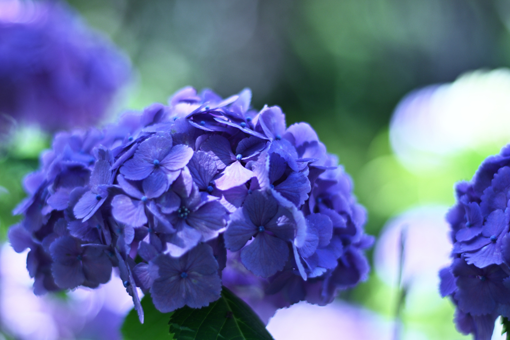 72H_8612R