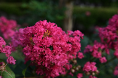72H_8877R