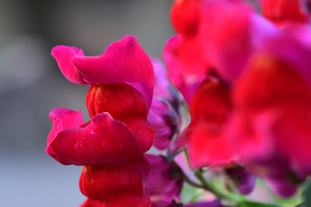 72H_9618R