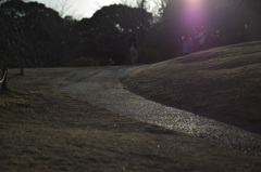 夕方の公園散歩